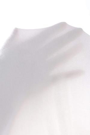 Chic Crop Top Blouse