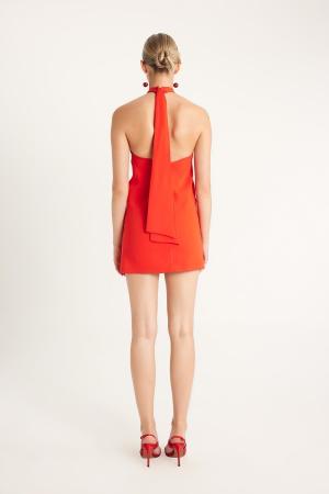 Mini  Dress