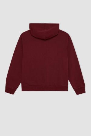 Hooded  Sweatshirt