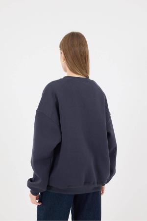 Crew Neck Raised Basic Sweatshirt